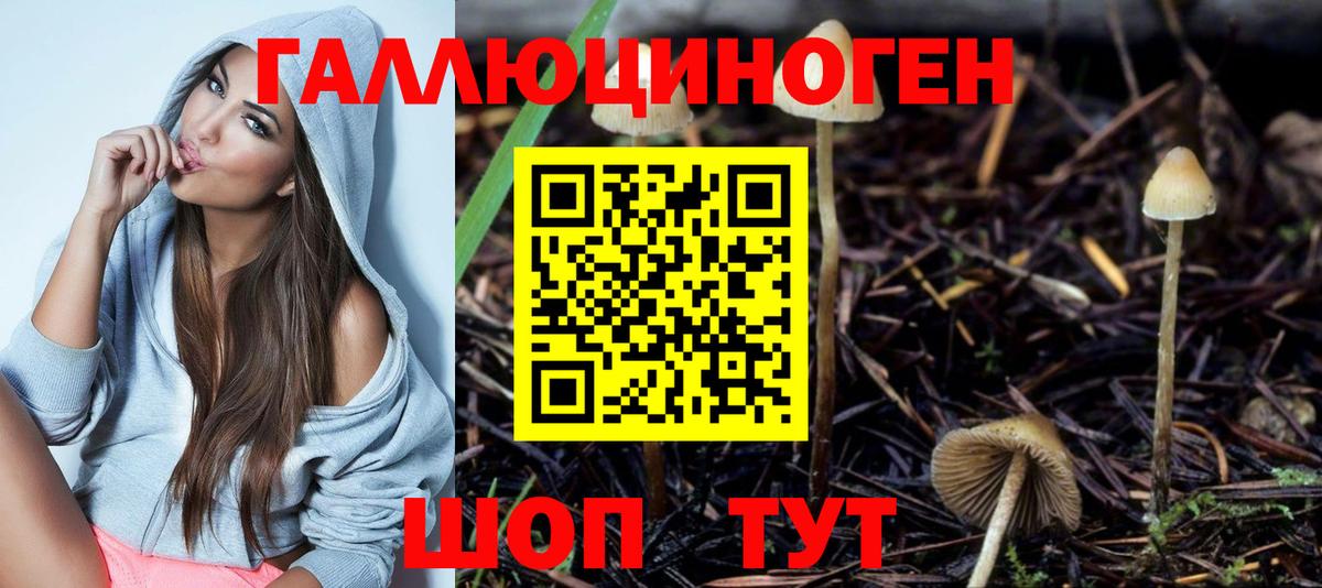 Кохма  Псилоцибиновые грибы Psilocybine cubensis  Галлюциногенные грибы Psilocybe  сколько стоит  Вход с VPN 